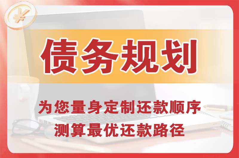 龙泉驿债务规划